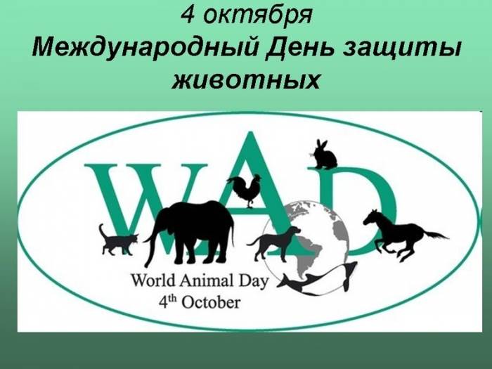 Всемирный день животных поздравления