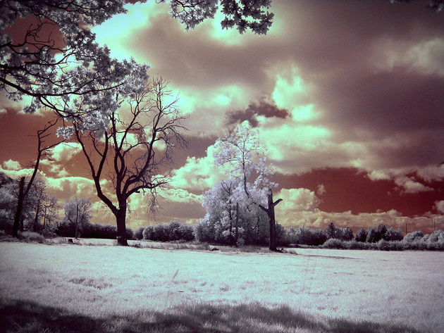 Infra Red Redux © photo zoom