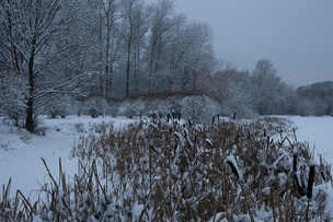 Зимний пейзаж, съёмка на фоне снега. В таких сюжетах автоматика камеры часто недосвечивает кадр, он получается тёмным.