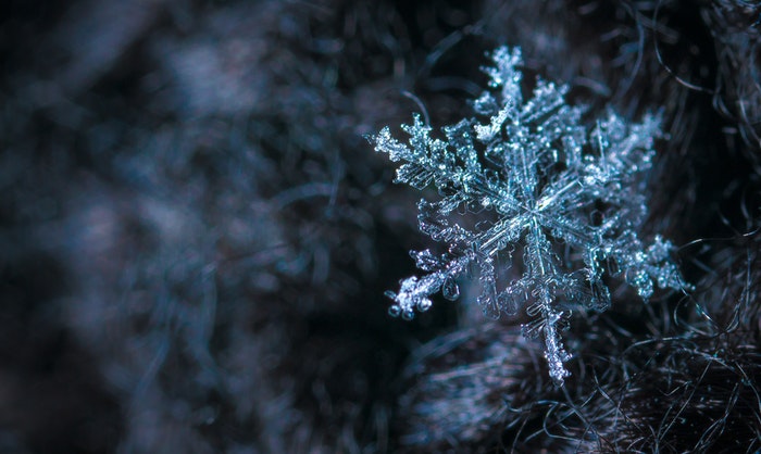 Macro image of snowflake