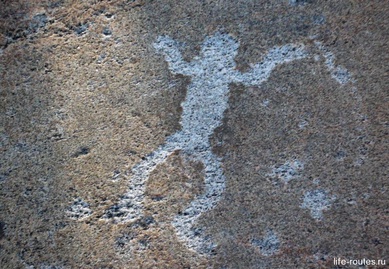 В Карелии обнаружено несколько тысяч петроглифов