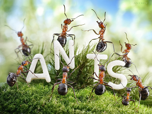 We are the Ants