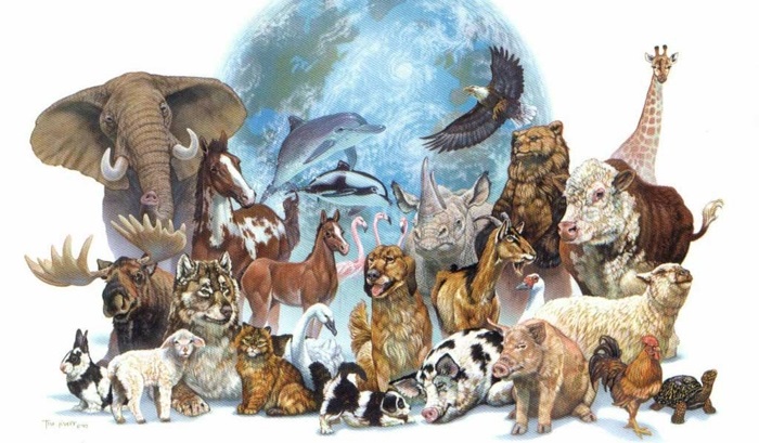 4 октября день защиты животных картинки001