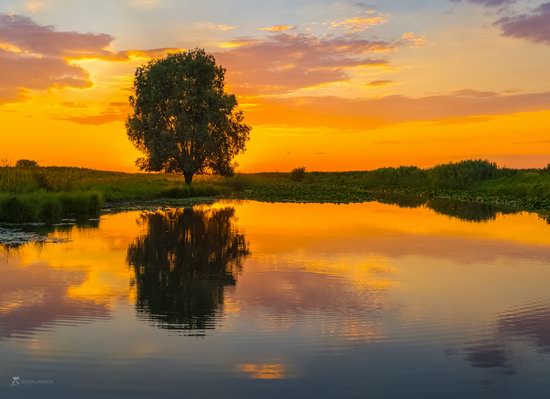 Summer sunset in the Volga River delta, Astrakhan Oblast, Russia, photo 1