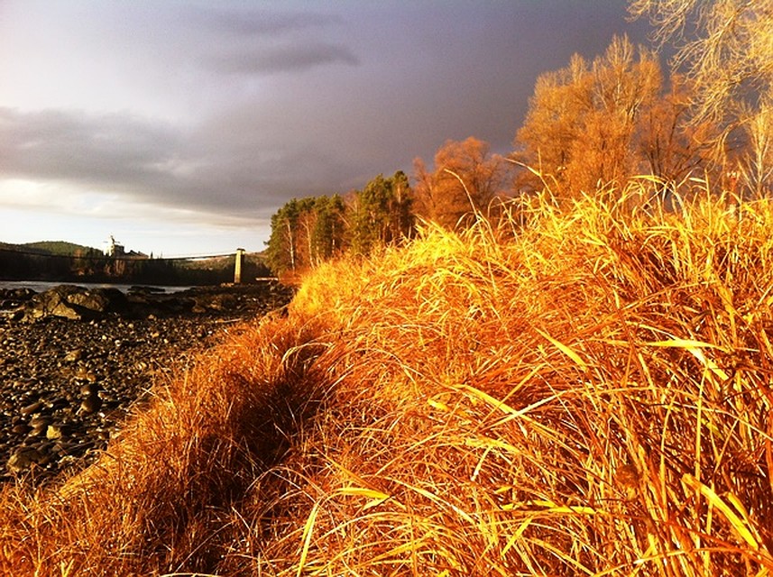 Фото: Андрей Афонин. Алтай осенью становится похож на сказку 