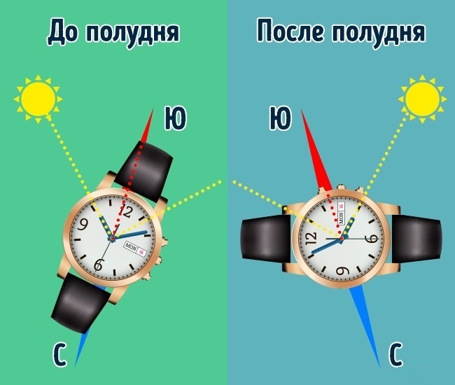 Север-Юг-Запад-Восток. Расположение на карте, как определить направления