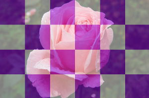 Фотография с наложенной шахматной доской фиолетово-белого цвета