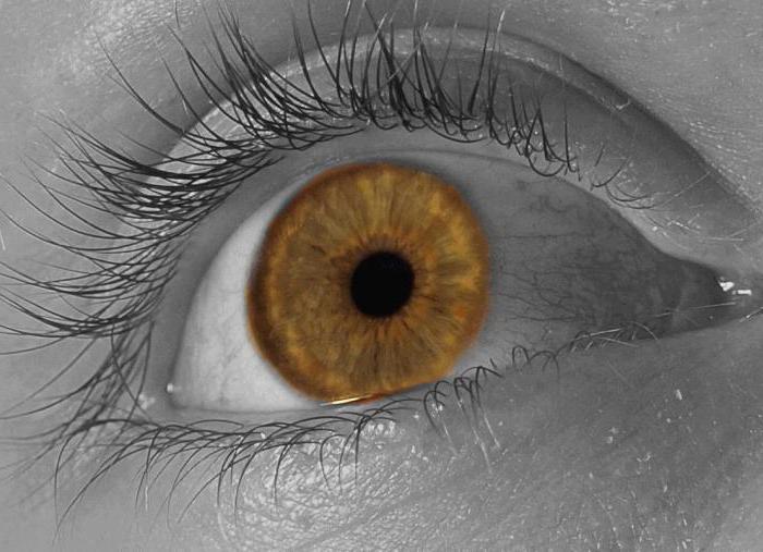 Как изменить карий цвет глаз