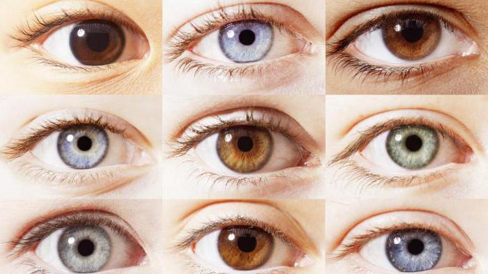Как изменить цвет глаз в домашних условиях