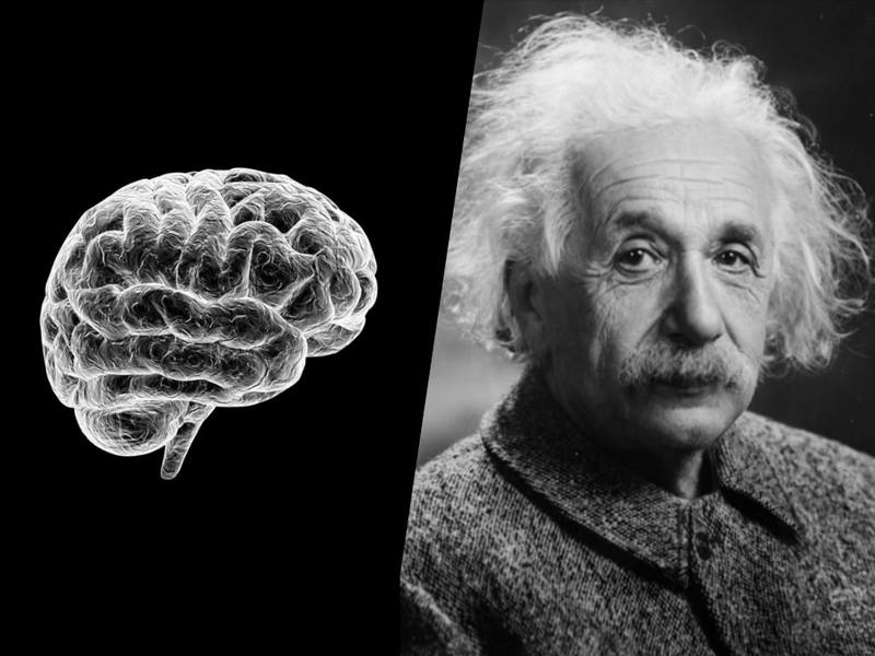 Мозг Эйнштейна украли после смерти